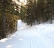 Aspen