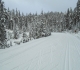 Moraine Lake road