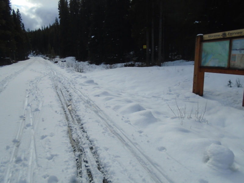 Moraine Lake road
