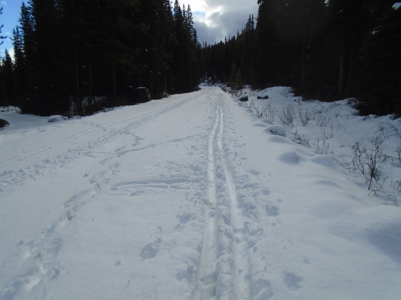 Moraine Lake road