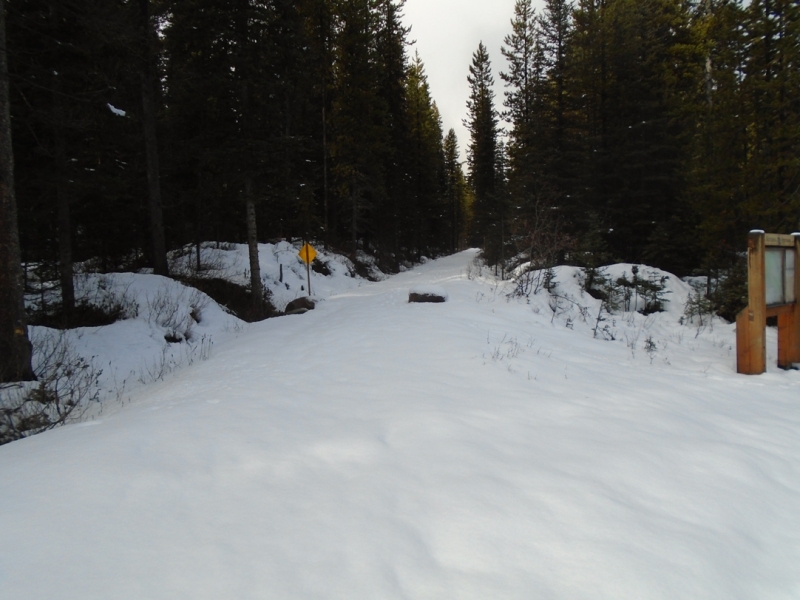 Upper Tramline