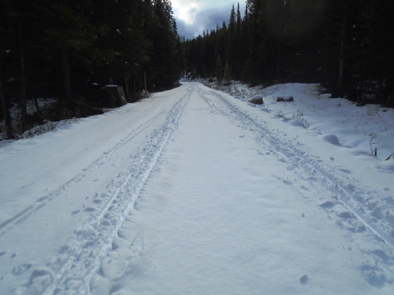Moraine Lake road