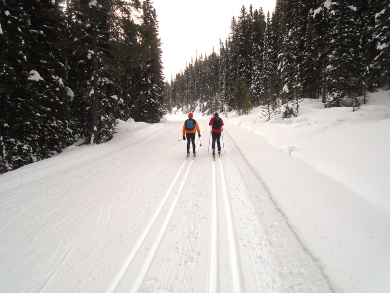 Moraine Lake road