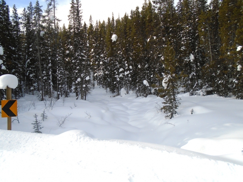Moraine Lake road