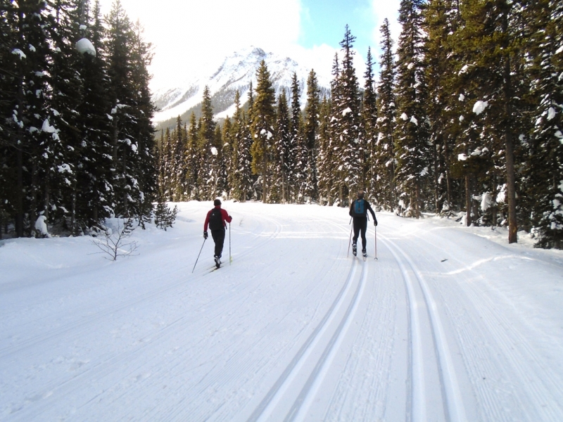 Moraine Lake road