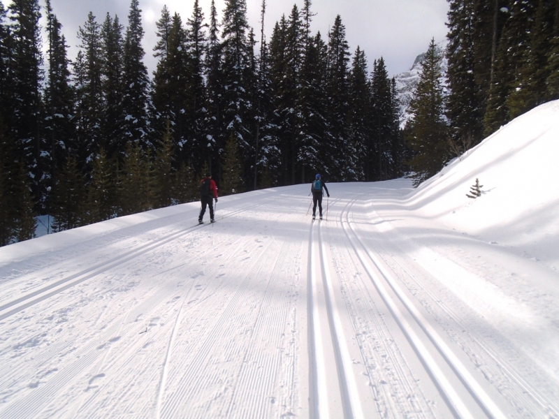 Moraine Lake road