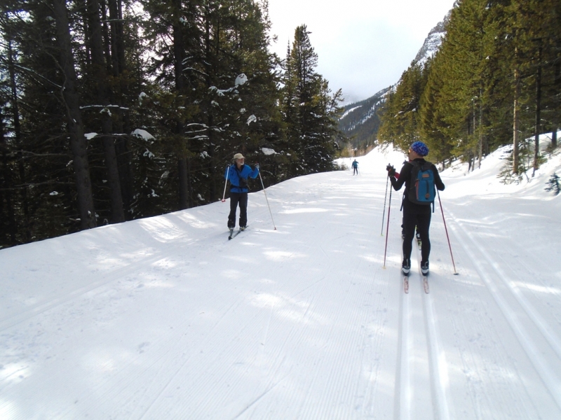 Moraine Lake road