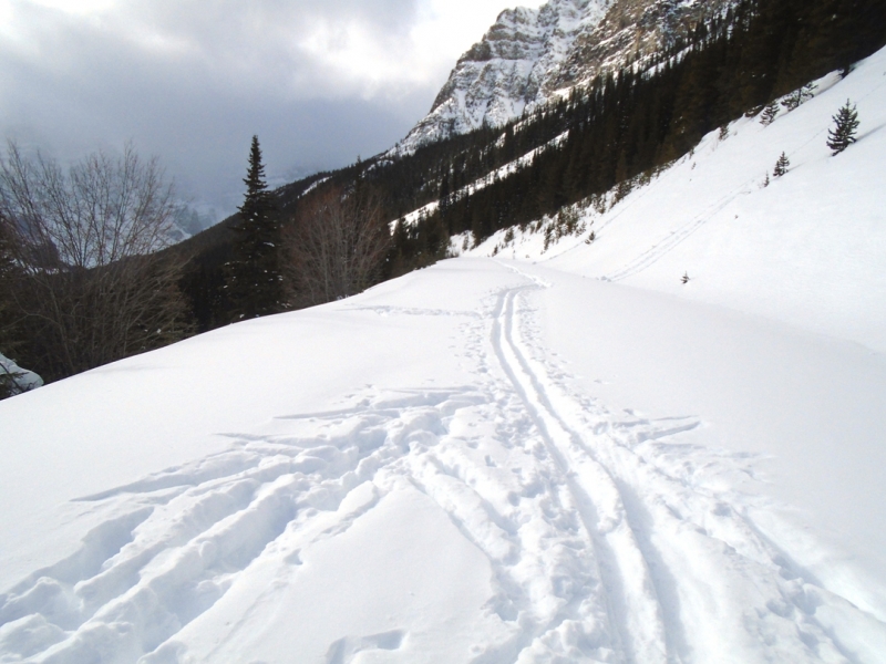 Moraine Lake road