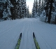 Tramline
