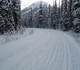 Moraine Lake road