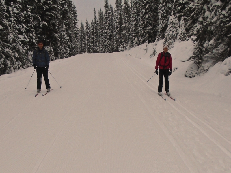 Moraine Lake road