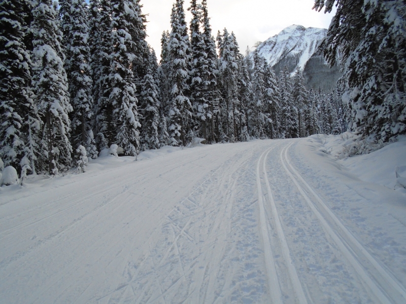 Moraine Lake road