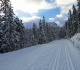 Moraine Lake road