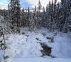 Paradise Creek