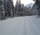 Moraine Lake road