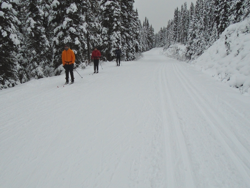 Moraine Lake road