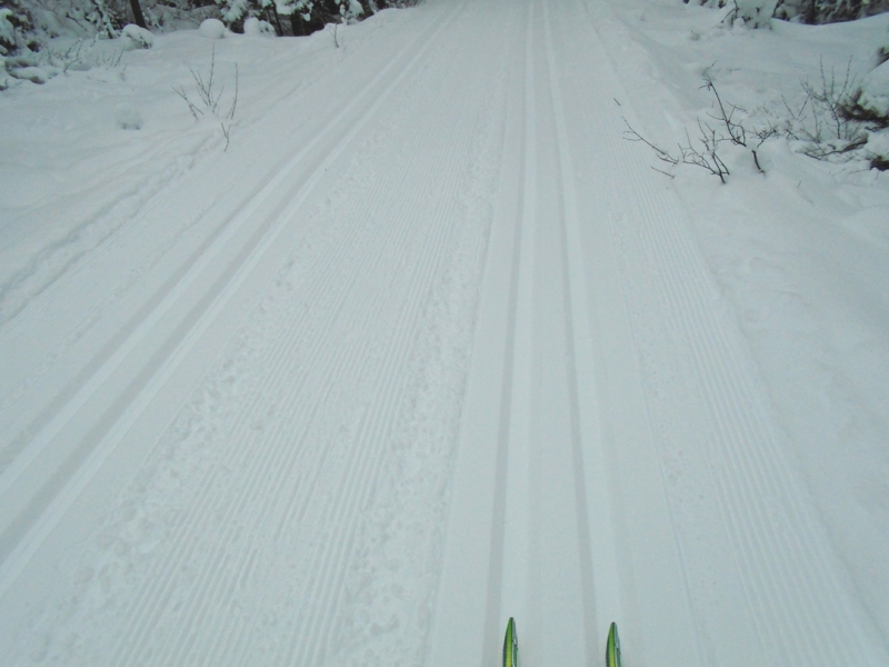 Tramline