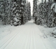 Tramline
