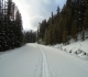 Moraine Lake road