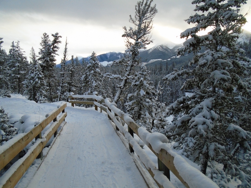 Nipika Mountain Resort
