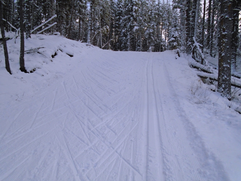 Nipika Mountain Resort