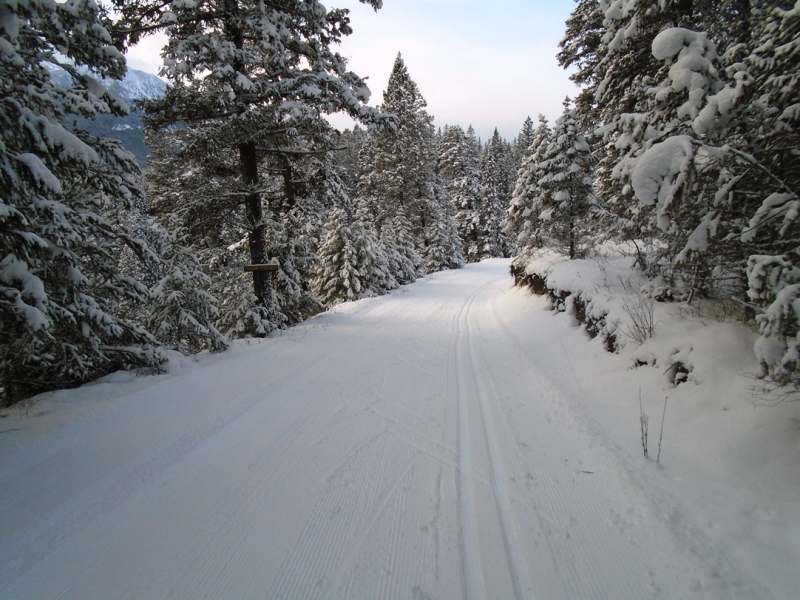 Nipika Mountain Resort