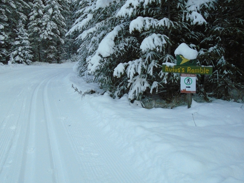 Nipika Mountain Resort