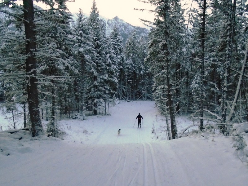 Nipika Mountain Resort