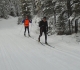 Nipika Mountain Resort