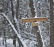 Nipika Mountain Resort
