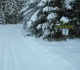Nipika Mountain Resort