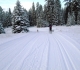 Nipika Mountain Resort
