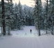 Nipika Mountain Resort