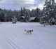 Nipika Mountain Resort