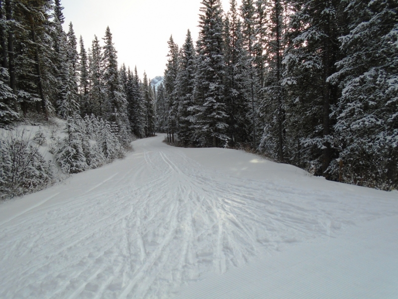 Moraine