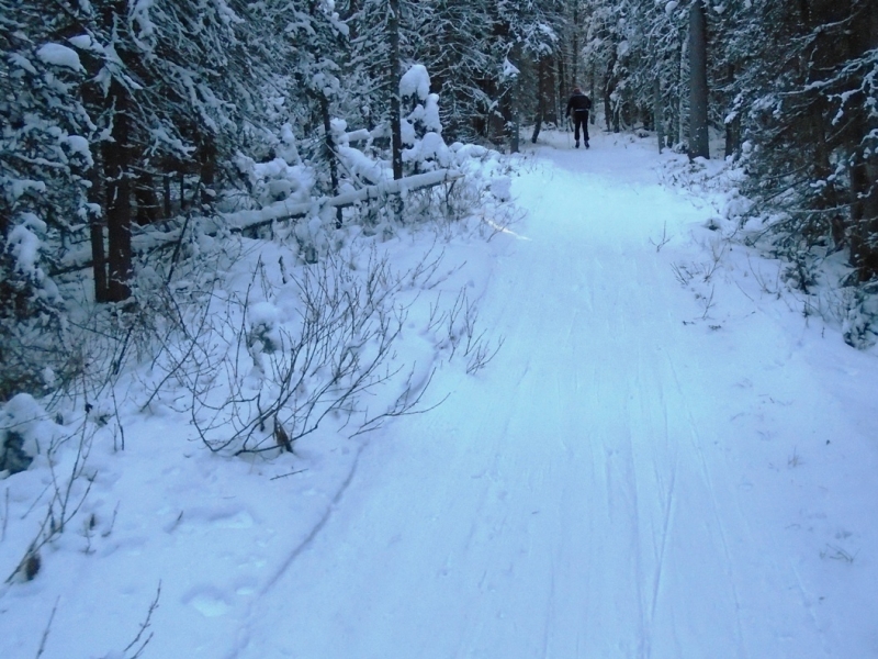 Fox Creek