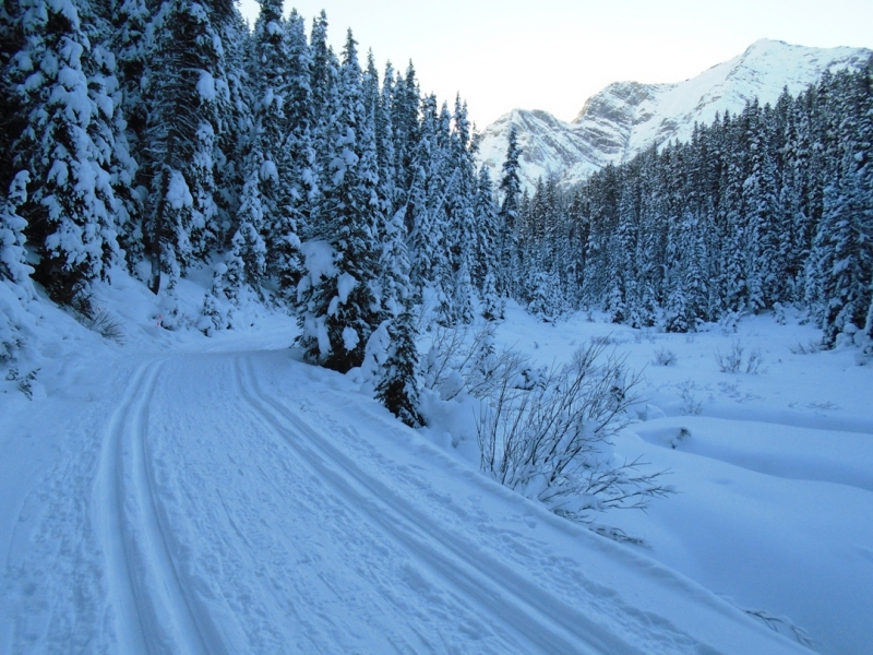 Elk Pass