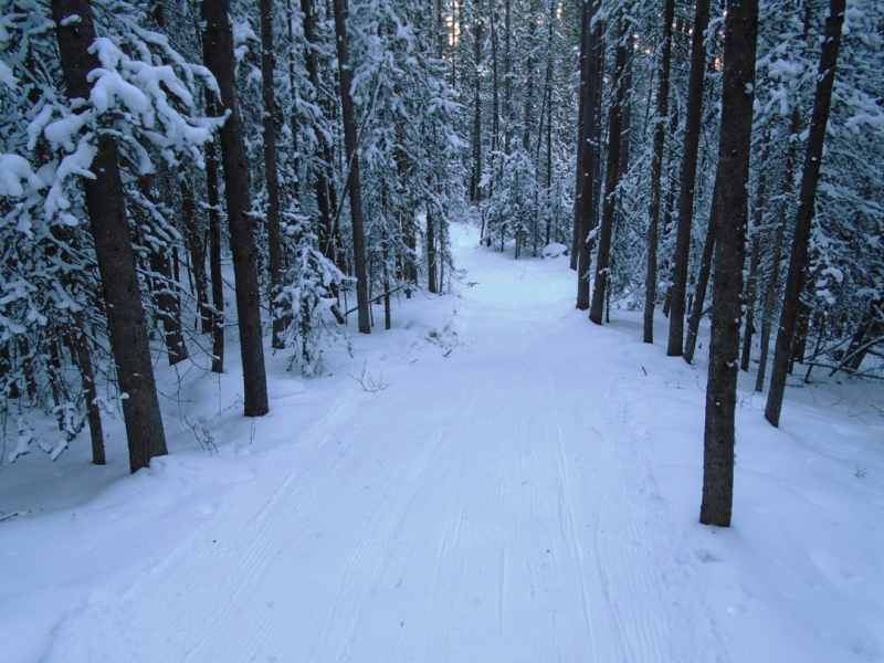 Boulton Creek
