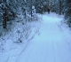 Fox Creek