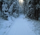Fox Creek
