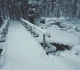Fox Creek
