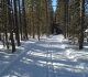 Pipestone