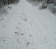 Redearth Creek