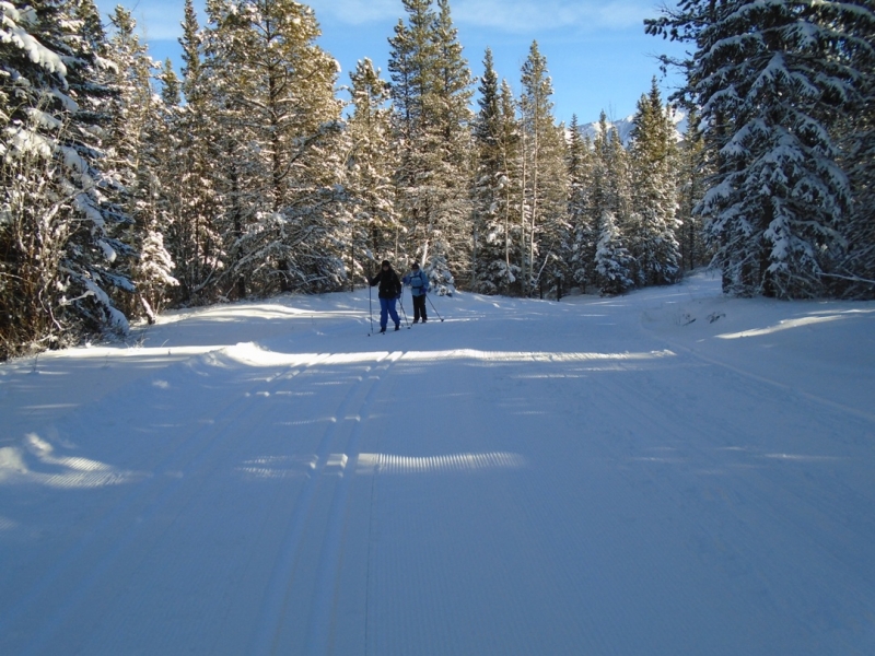 Terrace trail