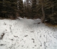 Goat Creek