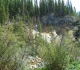Tessa Falls