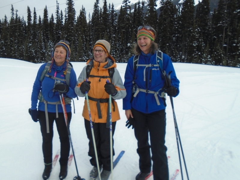 Elk Pass - Tyrwhitt - Hydroline junction