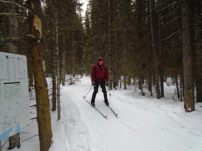 Fox Creek - Moraine junction
