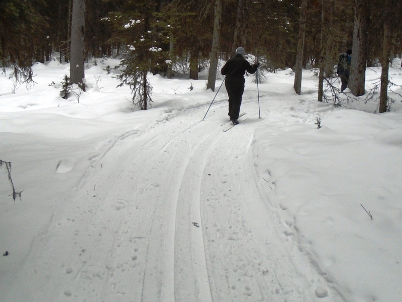 Fox Creek