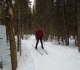 Fox Creek - Moraine junction
